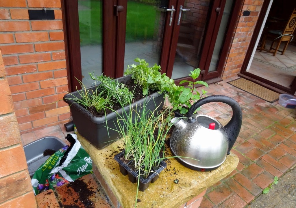 [DSC05638%2520%25281300x915%2529%255B4%255D.jpg]