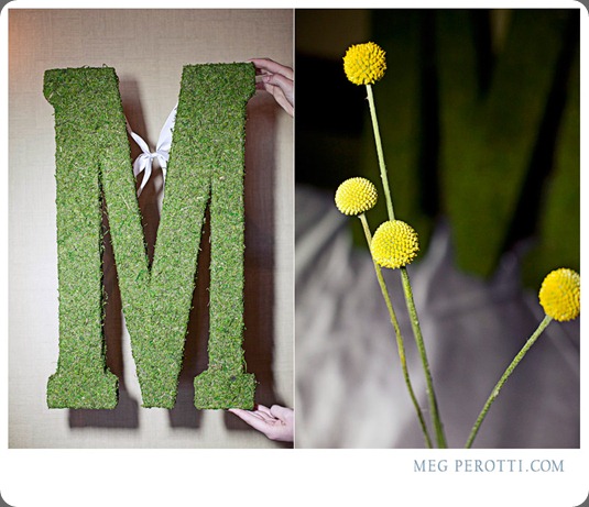 033cathmikwedmegperotti