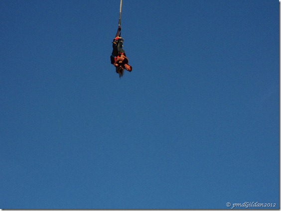 Le grand saut