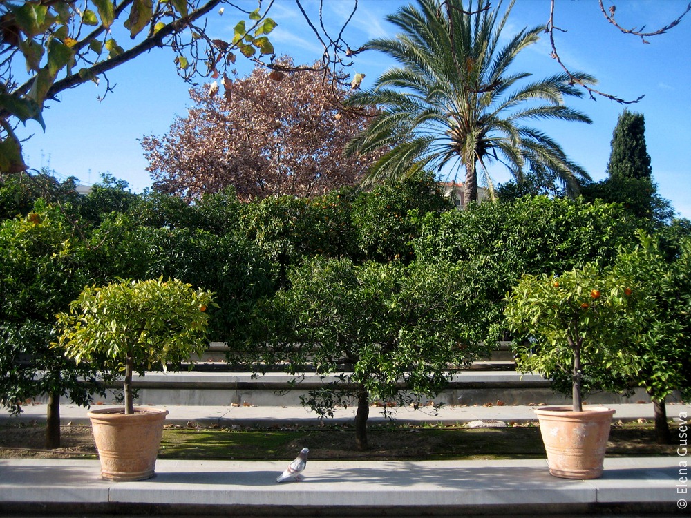 [113%255B10%255D.jpg]