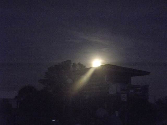 [Saturday%2520Full%2520Moon%2520%2526%2520drumming%2520217%255B3%255D.jpg]