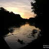 dsc03353.jpg