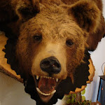 DSC05258.JPG