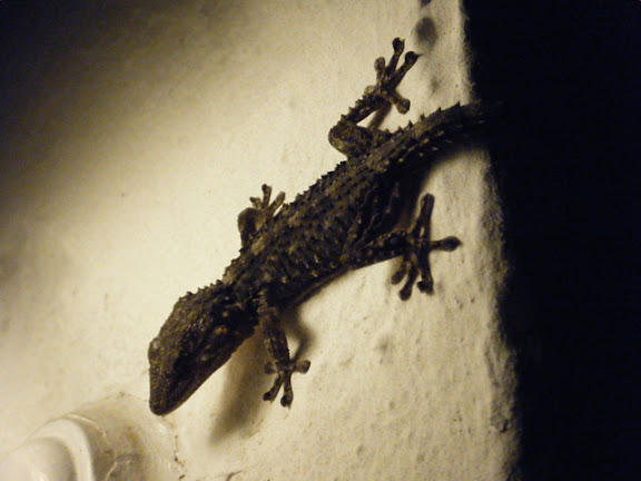 2011_07210005.jpg