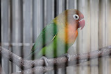 IMG_8643.JPG