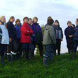 Verdronken land van Saeftinghe