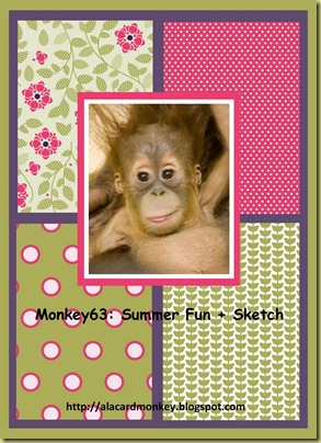 Monkey63