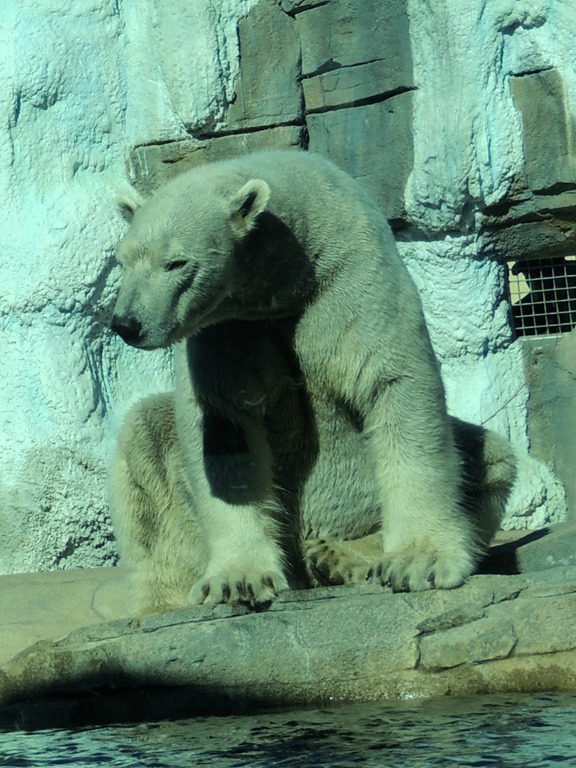 [DSCN2067%255B3%255D.jpg]