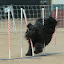 DSC_9991.JPG