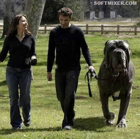 [2077795410.3%255B8%255D.jpg]