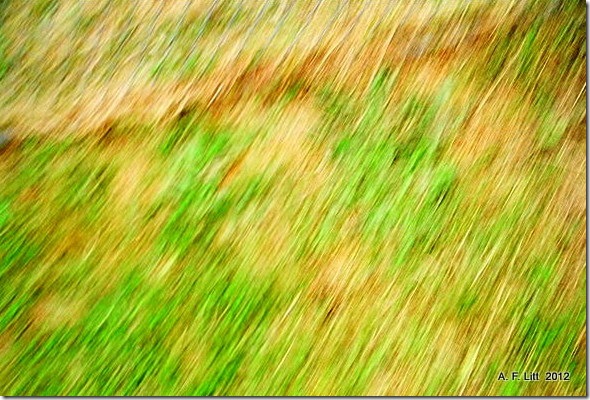 Abstract.  2006.  Because I am in a Fuzzy Mood today.  Photo of the Day, April 10, 2012.