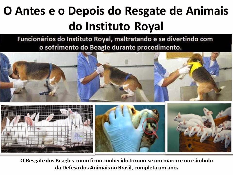 [Resgate-Royal%2520%25281%2529%255B3%255D.jpg]