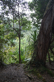 DSC_0697.jpg