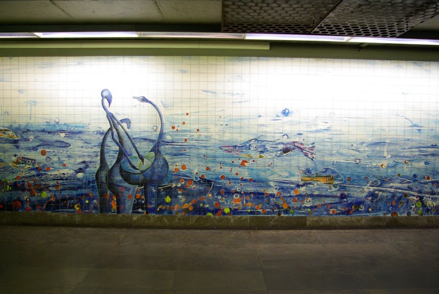 IMGP1462.JPG