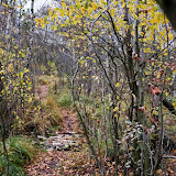 Torfkanal und Randmoore