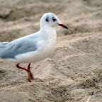 20100822_134_small.JPG