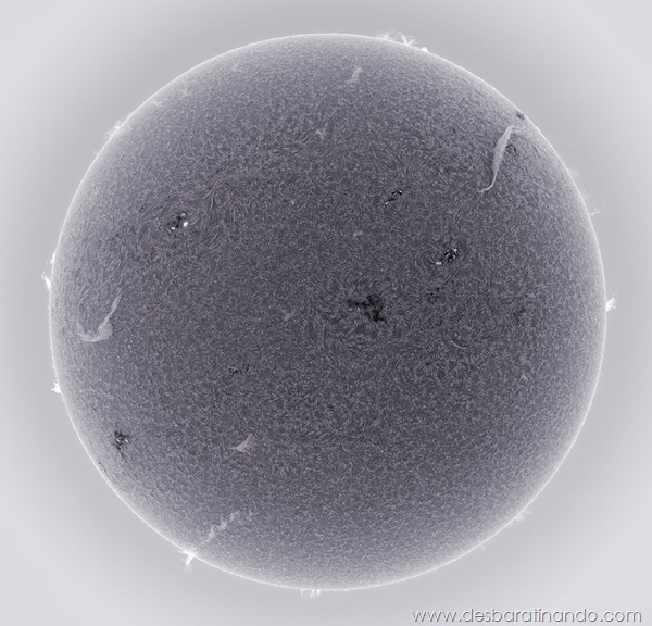 hd-photographs-of-the-sun-alan-friedmans- (3) hd-photographs-of-the-sun-alan-friedmans- (3)
