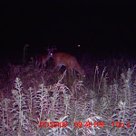 MDGC0361.JPG