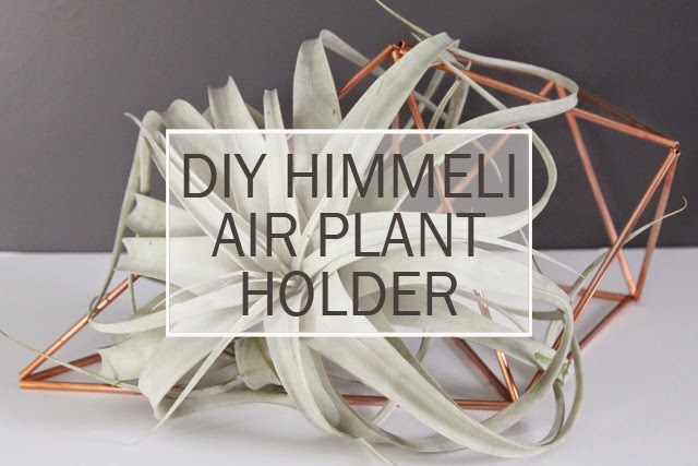 [DIY-Himmeli-Air-Plant-Holder5.jpg]