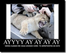 humor compartir (35)