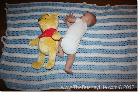 IMG_0743 IMG_0743