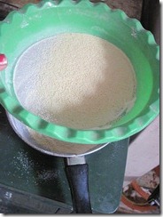 IMG_7910 IMG_7910