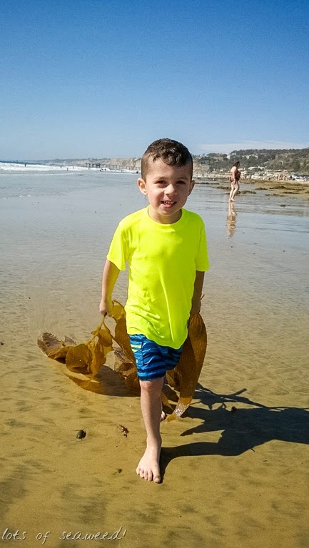 [WP_20140616_059-2%255B9%255D.jpg]