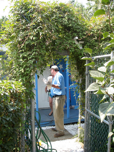 This garden is entered through an arch covered in Clematis paniculata. This kind of considered touch is what makes these gardens so extraordinary and transporting.