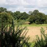 IMG_1214.JPG
