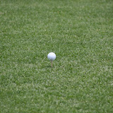 IMG_3288.JPG