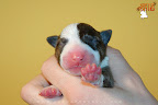 Boy 4 - day 1