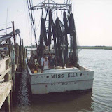 MIssElla1.jpg