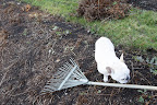 This rake looks a little heavy for me to handle - perhaps.......