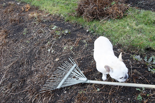 This rake looks a little heavy for me to handle - perhaps.......