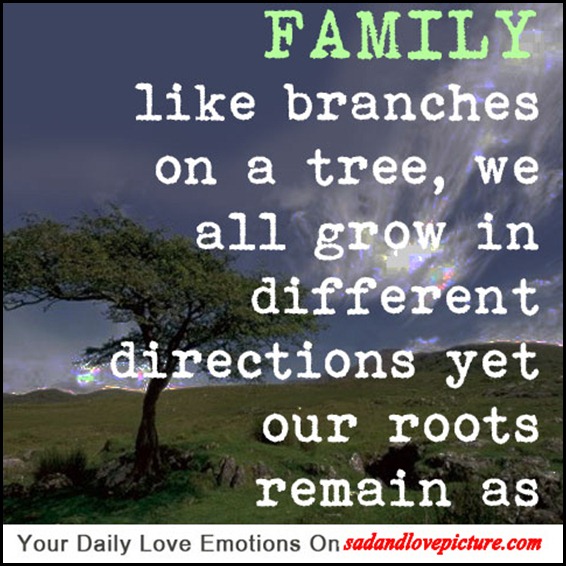 Long Distance Family Quotes. QuotesGram