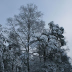 3-1-2010-040.jpg