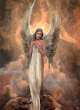 Innocent Angel Of Fair