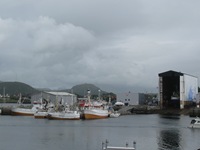 IMG_5834 IMG_5834