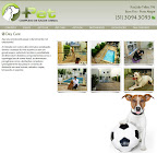 Website Mais PET