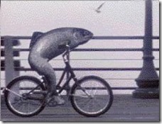a_fish_needs_a_bicycle a_fish_needs_a_bicycle