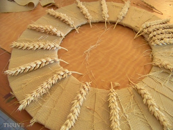 wheat.7