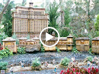 Miniature dancing fountains at the Bellagio Conservatory and Botanical Garden.