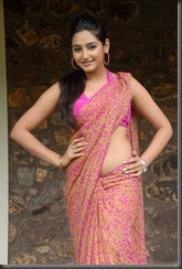 ragini dwivedi hot in saree