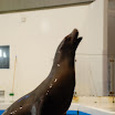 hokkaido_355.jpg