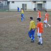 S6000472.JPG