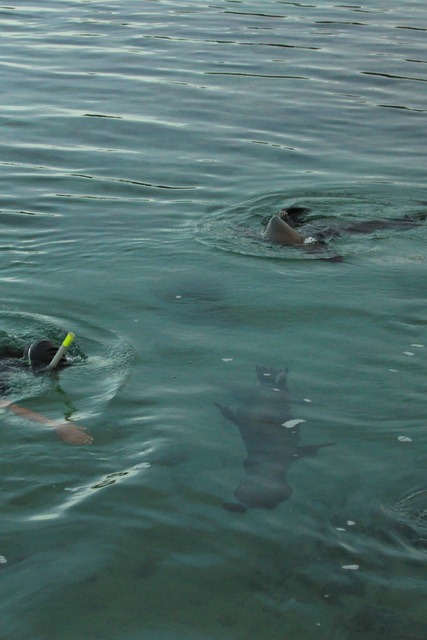 [IMG_0819%255B2%255D.jpg]