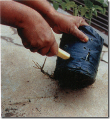 image image