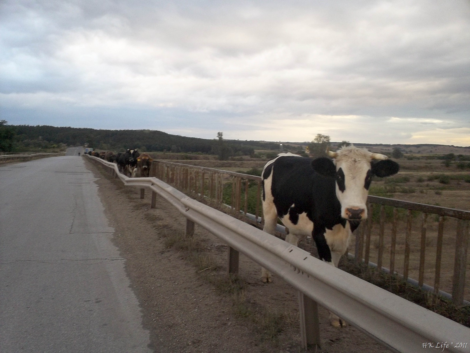 [100_0389%255B3%255D.jpg]