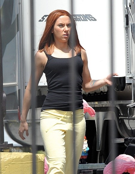 Actress Scarlett Johansson spotted filming 'Captain America: The Winter Soldier' who plays Black Widow. Also on set co-star Samuel L. Jackson as Nick Fury.

Featuring: Scarlett Johansson
Where: Los Angeles, CA, United States
When: 23 Apr 2013
Credit: Cousart-Rayne/JFXimages/WENN.com