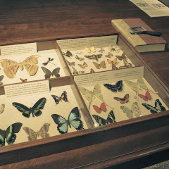 Fotos do evento Walters Art Museum - Baltimore. Foto numero 12902044242754132794.